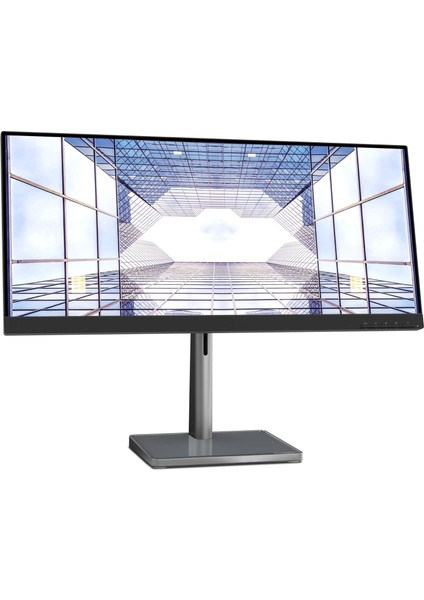 L29W-30 Ultra Geniş 90hz 4ms 29" Freesync 2K IPS Monitör 66E5GAC3TK