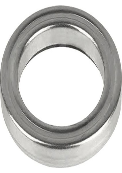 R55202 Amortisor Rulmani ( Fiat / Peugeot / Citroen Ducato / Boxer / Jumper ) 1355179080 (WC781249)