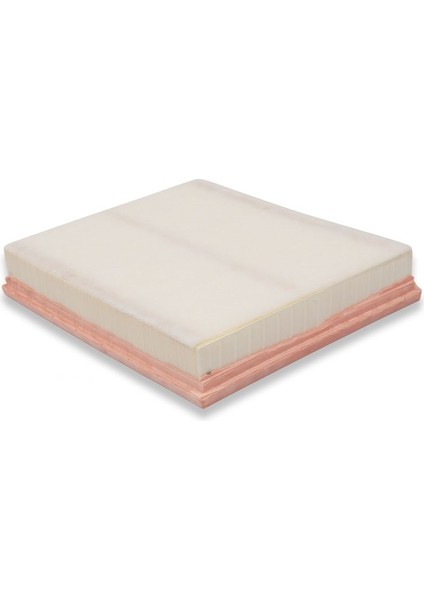 Bmw Uyumlu E70 X5 ve E71 X6 M57N2 Motor Sardes Hava Filtresi 13717798342 fiyatları