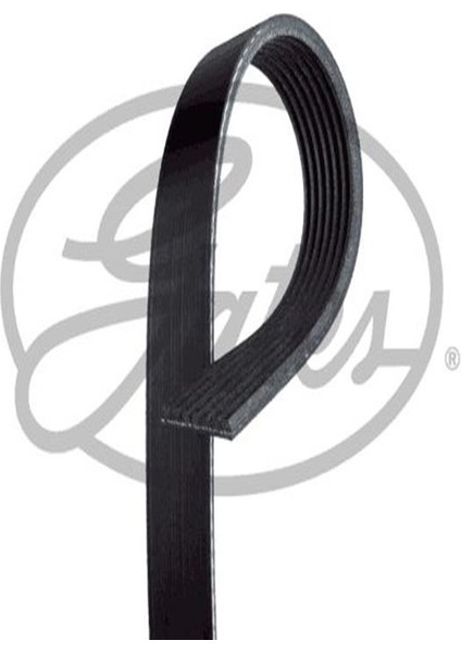 7PK2968 Kanalli Kayis V347 11-14 V363 14- 2.2tdci 155PS Arkadan Ceker Klimasiz 1750992 CC1Q6C301GA (WC818989)