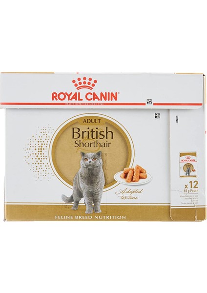 Sinerji Shop Canin British Shorthair Konserve 85 gr x 12 Adet