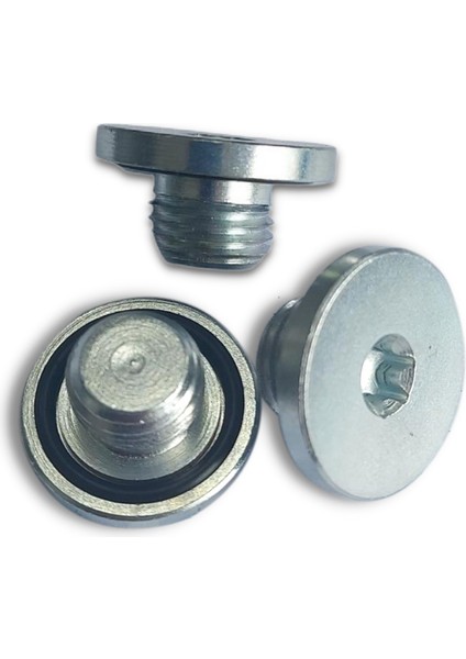 Karter Tapası Contalı (Multijet 1.3) Fiat 2 Adet