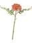 Yapay Çiçek (Yurt Dışından) 1