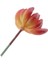 Yapay Çiçek (Yurt Dışından) 3