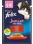 Junior Sığır Etli Yavru Kedi Pouch 6X85 gr 1