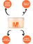 M3 Argan Oil Hair Care Mask 500 Ml 2