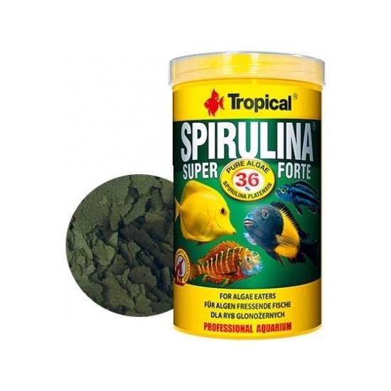 Tropical Spirulina Super Forte Pul Yem Gr Fiyat