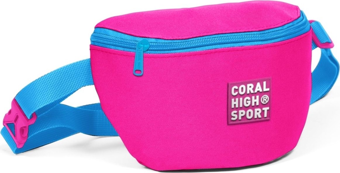 Coral High Sport Lacivert Iki Bölmeli Bel Çantası görsel 2