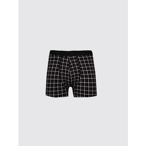 Boxer