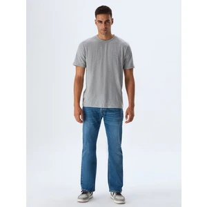 Erkek Sıfır Yaka Basıc Kısa Kol Regular Gri T-shırt