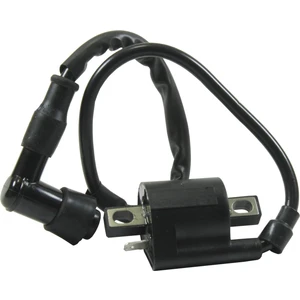 Cup 100 Ateşleme Bobini