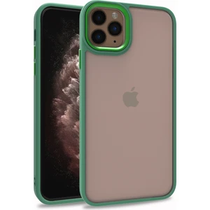 Iphone 11 Pro Max Renkli Kenarlı Parlak Flora Kılıf