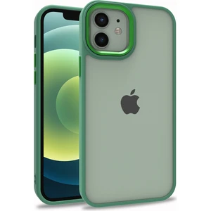 Iphone 12 Renkli Kenarlı Parlak Flora Kılıf + Ekran Koruyucu