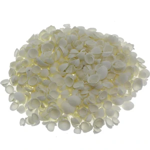Mutlu Adım 100GR. Mini Clam Rose Deniz Kabuğu