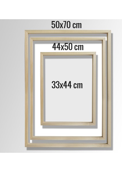 Breziya Poposu, Popo Kaldırma Sanatı, Plastik ve Estetik Cerrahı, Doktor Odası Duvar Tablosu fiyatları