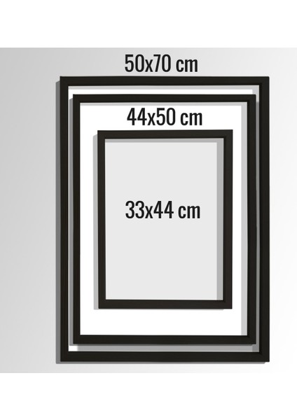 Yüz Işlemleri, Fraxel Lazer, Botox, Dolgu,plastik ve Estetik Cerrahı, Doktor Odası Duvar Tablosu fiyatları