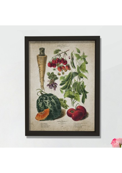 Doğal Çam Çerçeveli Mutfak Duvar Tablosu Sebzeler Antik Baskı