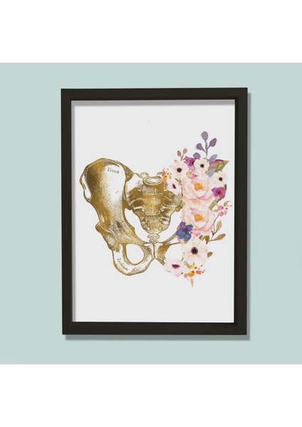 Pelvis Sanatı, Anatomik Baskı, Medikal Anatomi Sanatı Doktor Odası Duvar Tablosu