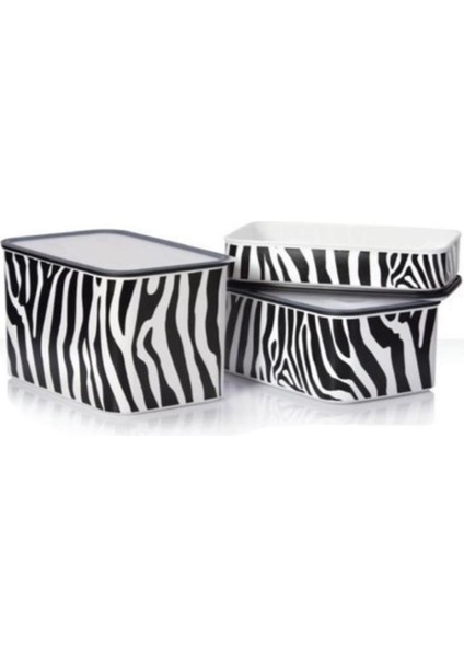 Su Zebra 3'lü Set Sıkı Kapaklı Saklama Kabı Hsgl