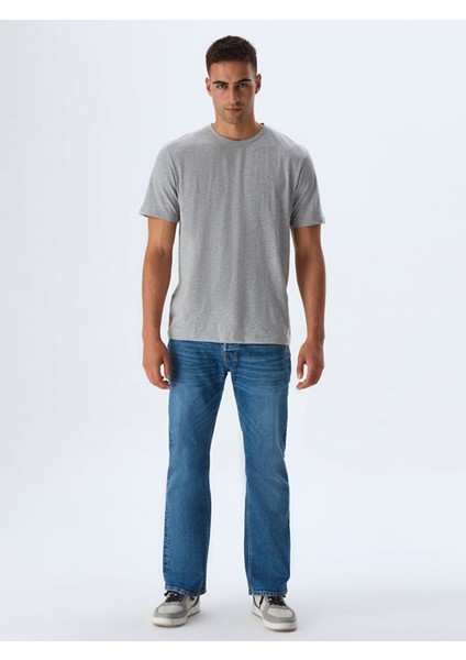 Erkek Sıfır Yaka Basıc Kısa Kol Regular Gri T-shırt