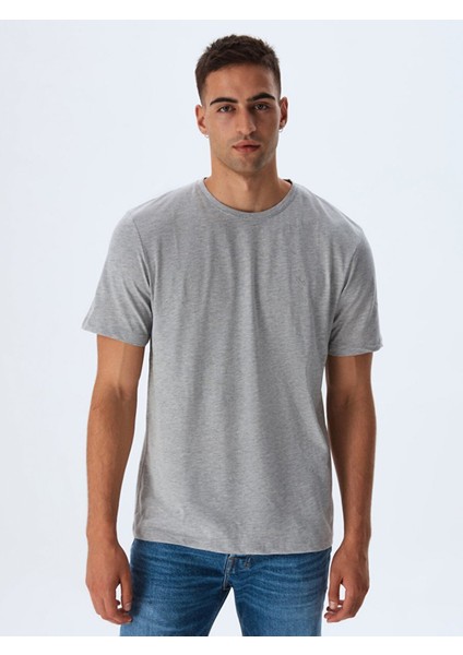 Erkek Sıfır Yaka Basıc Kısa Kol Regular Gri T-shırt fiyatları