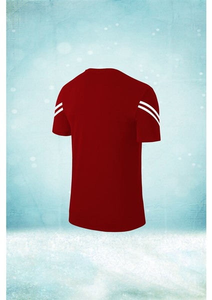Büyük Beden Erkek Bordo Dri-Fit Kumaş Konforlu Sıfır Yaka Tshirt (4xl- 10XL) fiyatları