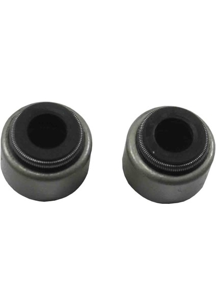 Yamaha X-Max 250 Duman Lastiği 2017 ve Öncesi 2 Adet