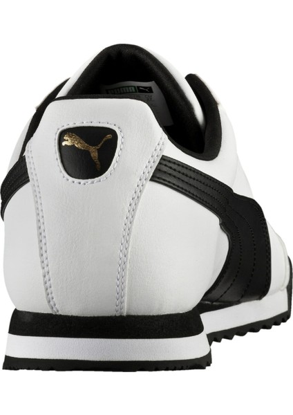 Roma Basıc modelleri