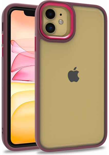 Iphone 11 Renkli Kenarlı Parlak Flora Kılıf