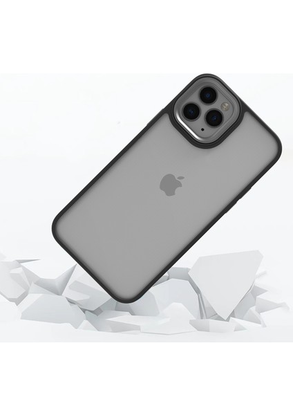 Iphone 11 Pro Renkli Kenarlı Parlak Flora Kılıf
