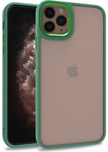 Iphone 11 Pro Max Renkli Kenarlı Parlak Flora Kılıf