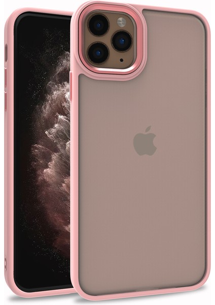 Iphone 11 Pro Max Renkli Kenarlı Parlak Flora Kılıf