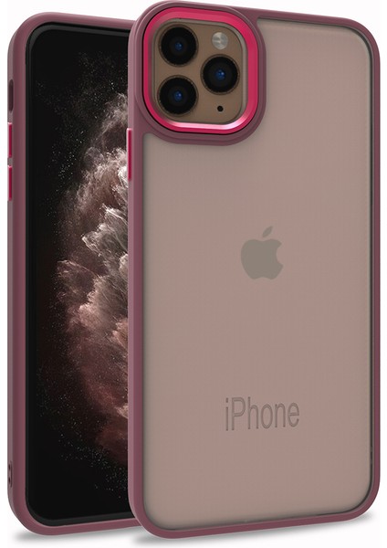 Iphone 11 Pro Max Renkli Kenarlı Parlak Flora Kılıf + Ekran Koruyucu