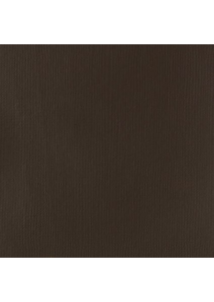 : Professional Heavy Body : Akrilik Boya : 59 ml : Burnt Umber 128 S1