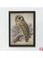Doğal Çam Çerçeveli Duvar Tablosu Antik Baykuş 1