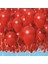 Metalik Kırmızı Latex Balon 10 Adet 1