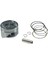 Honda Cbf 250 Piston Seti 0,50 mm Farklı 1
