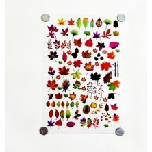 Hobizubi Reçine Epoksi Sticker - Yapraklar 2