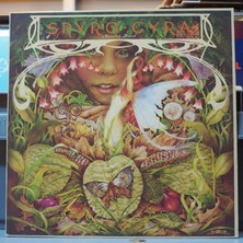 Kupon Spyro Gyra * Morning Dance,canada Baskı 1979 Lp