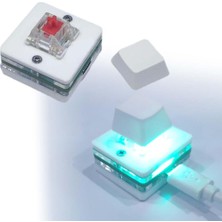 Waysle USB Mini 1 Anahtar Klavye Programlanabilir Rgb Dıy Kırmızı Anahtar Için Mekanik Oyun Klavyesi (Yurt Dışından)