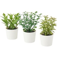 IKEA Saksılı Yapay Bitki 3 Lü , Yeşil  5 cm Meridyendukkan Mini Çiçekler Yeşil Renk Dekorasyon