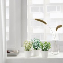 IKEA Saksılı Yapay Bitki 3 Lü , Yeşil  5 cm Meridyendukkan Mini Çiçekler Yeşil Renk Dekorasyon
