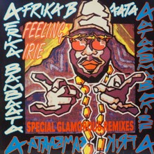 Kupon Afrika Bambaataa Feeling Irie (Special Glamorous REMIXES)1993 Lp