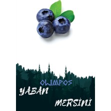 1 Adet Beyaz Yaban Mersini Fidanı