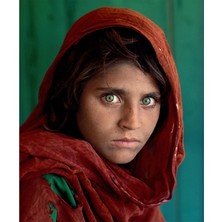 Hapy Hoby Afkan Kızı Sayılarla Boyama Seti 40X50CM