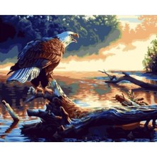 Hapy Hoby Göldeki Kartal Sayılarla Boyama Seti 40X50CM