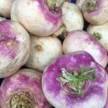 Berke Fidancılık Şalgam Turpu (Turnip) Tohumu 10 gr Paket