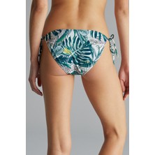 Penti Avokado Yeşil Verde Bikini Altı