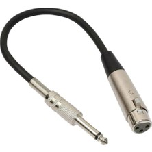 Sunfay Stereo Mikrofon Kablosu 3p Fişine 1/4 '' 6.35MM Dişi Mono Jack Fiş Kablosu 3m (Yurt Dışından)