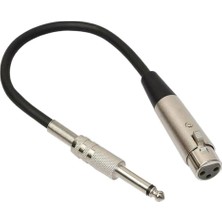 Sunfay Stereo Mikrofon Kablosu 3p Fişine 1/4 '' 6.35MM Dişi Mono Jack Fiş Kablosu 3m (Yurt Dışından)